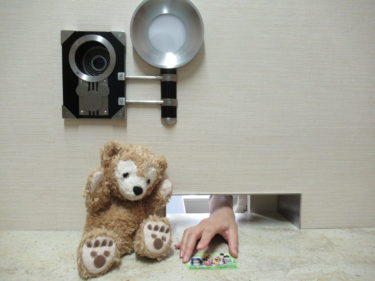 ディズニー８月７日から年パス使用可に！抽選に当たれば１か月最大５回入園できるよ！