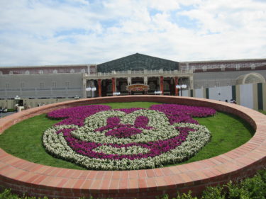 新型コロナウィルスの猛威!!ディズニーへのおでかけは行くべき？やめるべき？