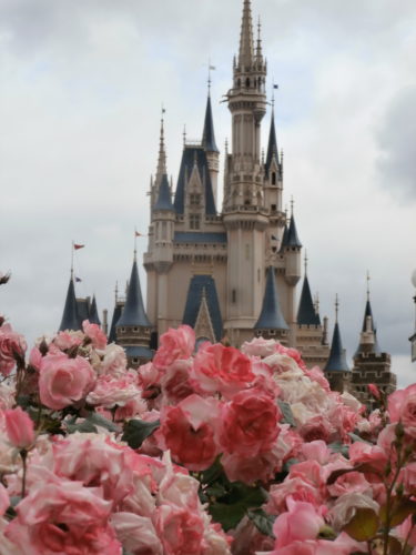 どうするディズニー!?東京・大阪に緊急事態宣言!USJは休園へ⁉コロナ感染の脅威