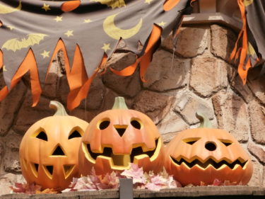 ディズニーシー「ヴィランズの手下」よくわかるテキスト「セイリングディ・ブッフェ」編