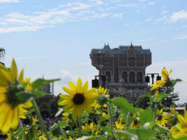 ディズニー７月も自粛営業継続!?夏休みのパークには１日１万人しか入れない⁉