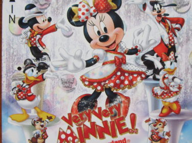 【ディズニー株主優待券】見た目は可愛いけど訳ありチケットなんです。