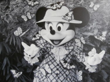 ディズニーチケット「ギフト・団体・ファンダフル」って何？珍種のチケットがよくわかる解説