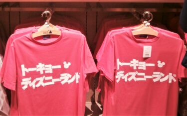 ディズニー卒業旅行!コロナ禍で行く方法まとめ‼最優先はチケット確保!キャンパスデーは販売なし!?