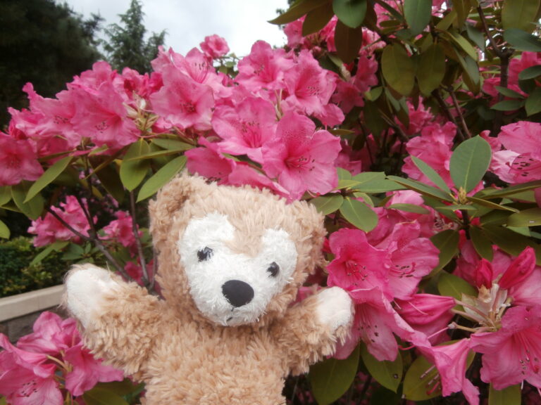 ディズニーランド４月