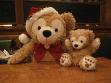 ディズニー「抽選による入園」３回の応募以内に必ず当たる条件とは？