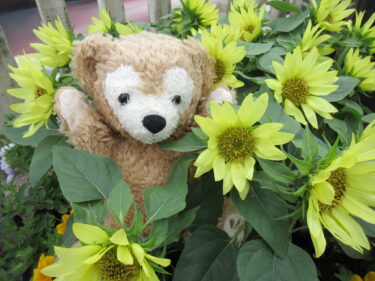 ディズニーシーのアトラクションが時短営業に!?コロナ禍で遊べる時間がさらに短縮!?