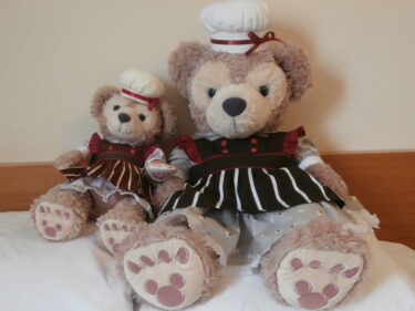 ディズニー「シェリーメイ」Mサイズのお洋服を作ろう！「ドロワーズ」編